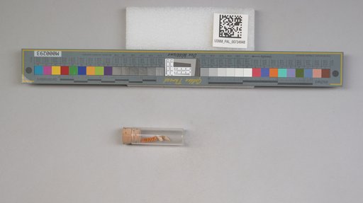 NSF ADBC EPICC TCN