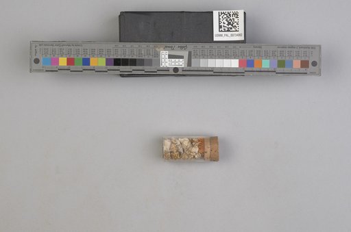 NSF ADBC EPICC TCN