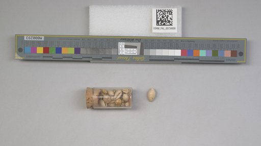 NSF ADBC EPICC TCN