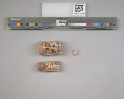 NSF ADBC EPICC TCN