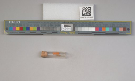 NSF ADBC EPICC TCN