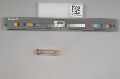 NSF ADBC EPICC TCN