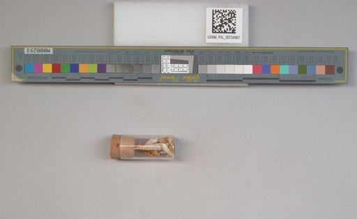 NSF ADBC EPICC TCN