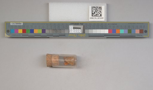 NSF ADBC EPICC TCN