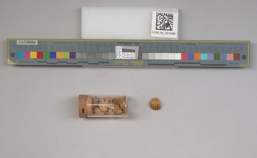 NSF ADBC EPICC TCN