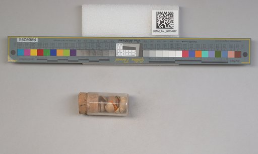 NSF ADBC EPICC TCN