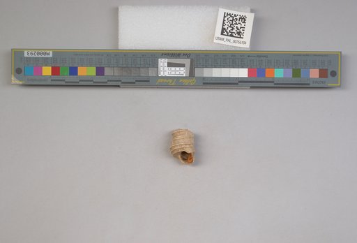 NSF ADBC EPICC TCN