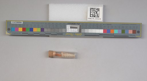 NSF ADBC EPICC TCN