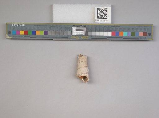 NSF ADBC EPICC TCN