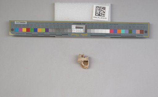 NSF ADBC EPICC TCN