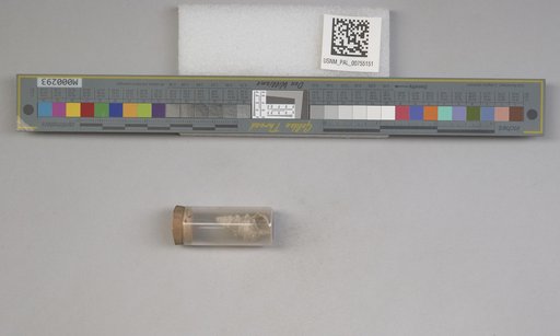 NSF ADBC EPICC TCN