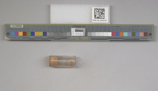 NSF ADBC EPICC TCN