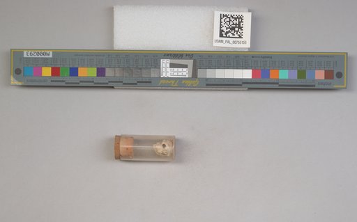 NSF ADBC EPICC TCN