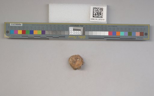 NSF ADBC EPICC TCN