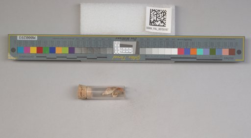 NSF ADBC EPICC TCN