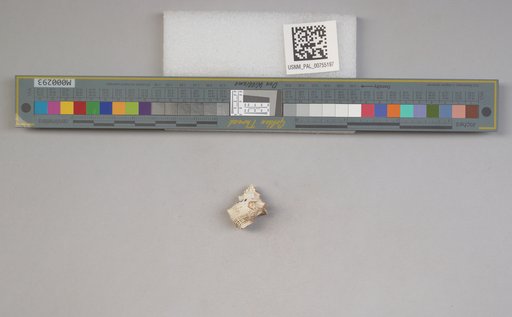 NSF ADBC EPICC TCN