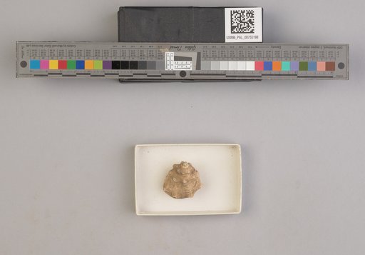 NSF ADBC EPICC TCN