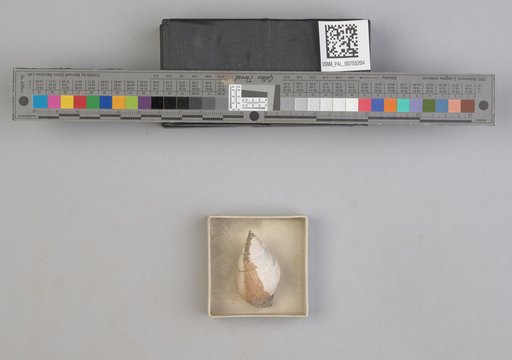 NSF ADBC EPICC TCN