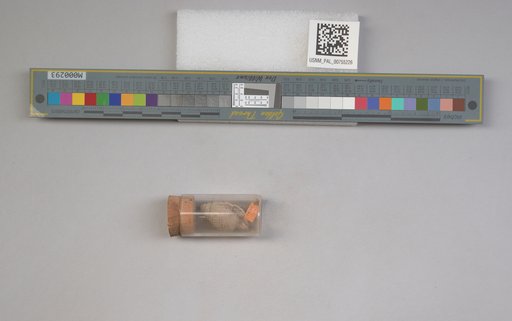 NSF ADBC EPICC TCN