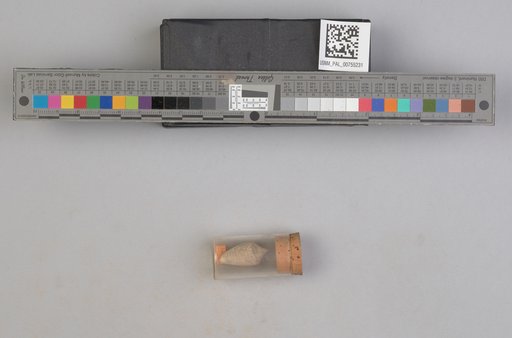 NSF ADBC EPICC TCN