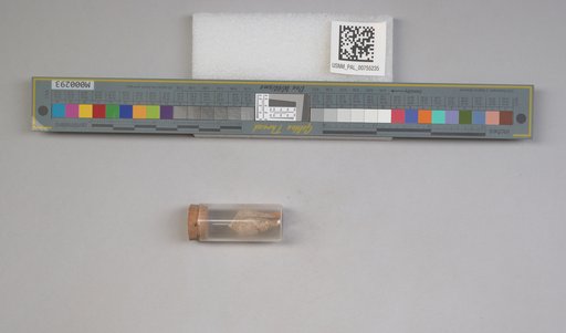 NSF ADBC EPICC TCN