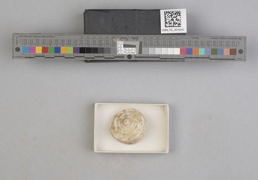 NSF ADBC EPICC TCN