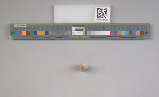 NSF ADBC EPICC TCN