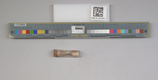 NSF ADBC EPICC TCN