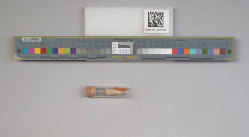NSF ADBC EPICC TCN