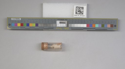 NSF ADBC EPICC TCN