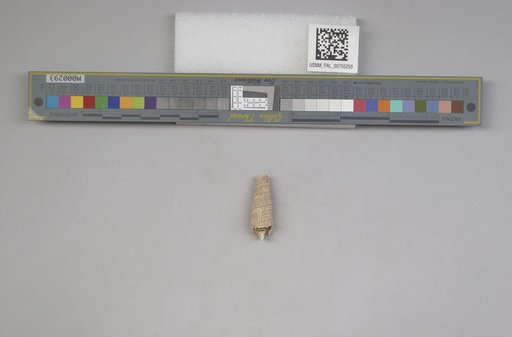 NSF ADBC EPICC TCN