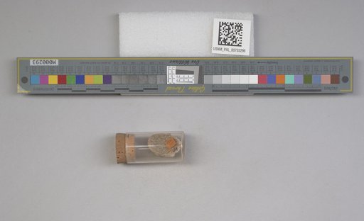 NSF ADBC EPICC TCN