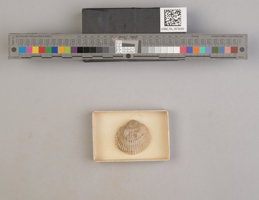 NSF ADBC EPICC TCN
