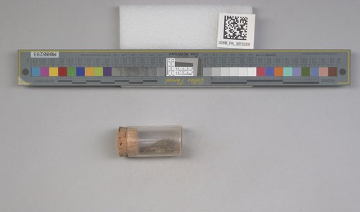 NSF ADBC EPICC TCN