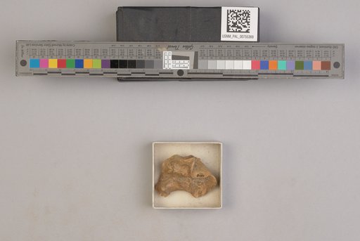 NSF ADBC EPICC TCN