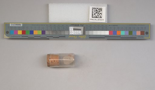 NSF ADBC EPICC TCN