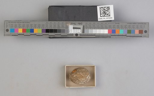 NSF ADBC EPICC TCN