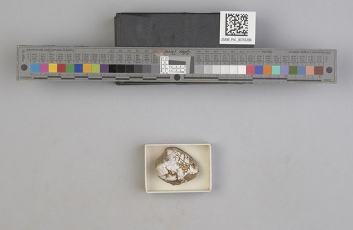 NSF ADBC EPICC TCN