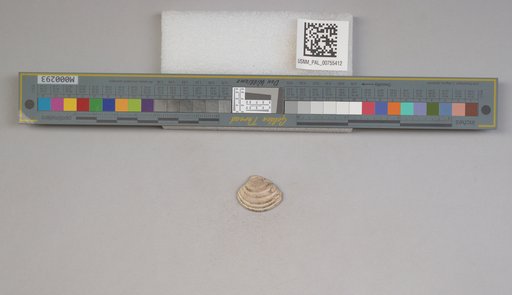 NSF ADBC EPICC TCN