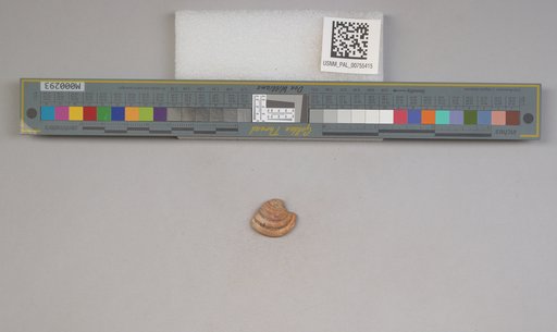 NSF ADBC EPICC TCN