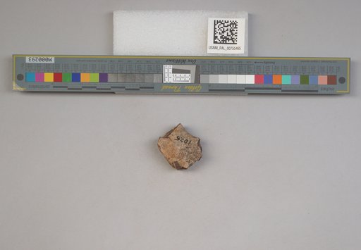 NSF ADBC EPICC TCN