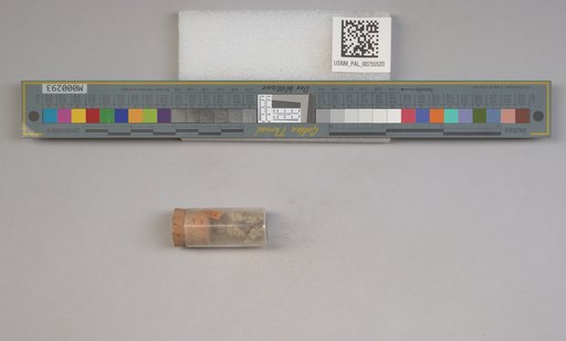 NSF ADBC EPICC TCN