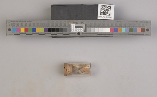 NSF ADBC EPICC TCN