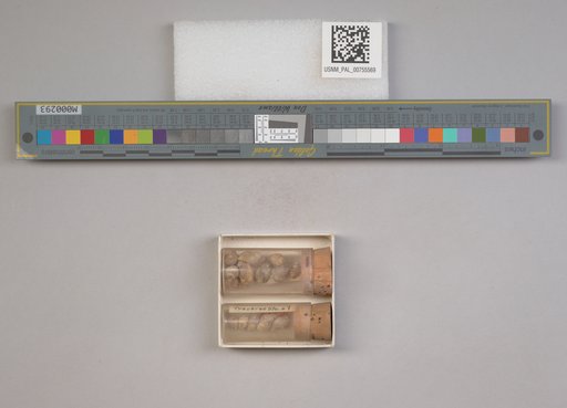 NSF ADBC EPICC TCN