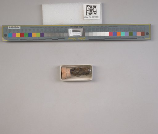 NSF ADBC EPICC TCN