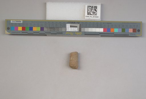NSF ADBC EPICC TCN