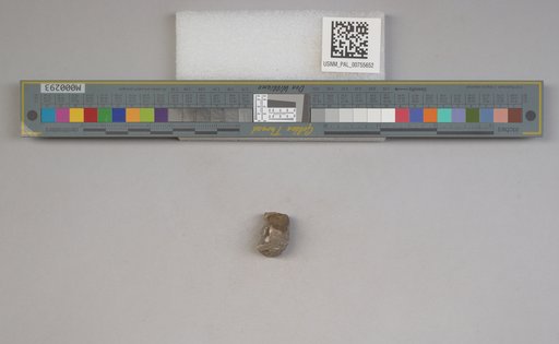 NSF ADBC EPICC TCN