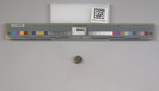 NSF ADBC EPICC TCN