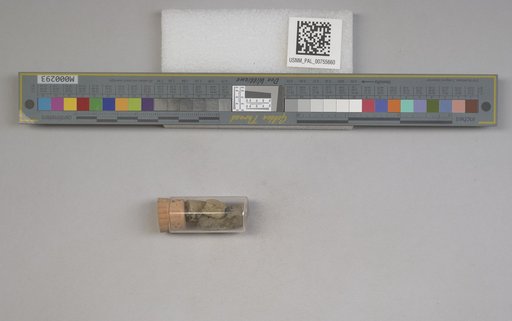 NSF ADBC EPICC TCN