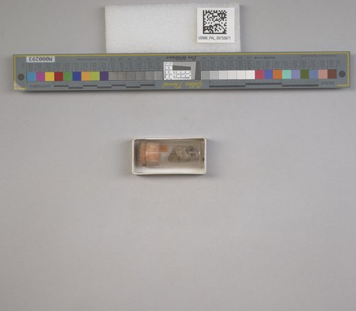 NSF ADBC EPICC TCN